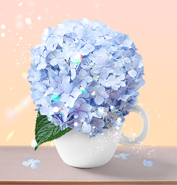 수연 실사진 1