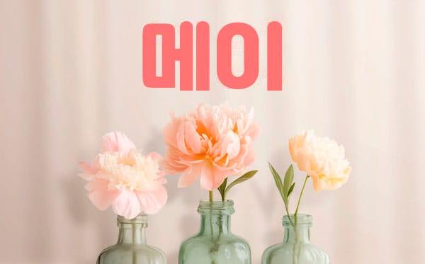 업소53302 실사진 1