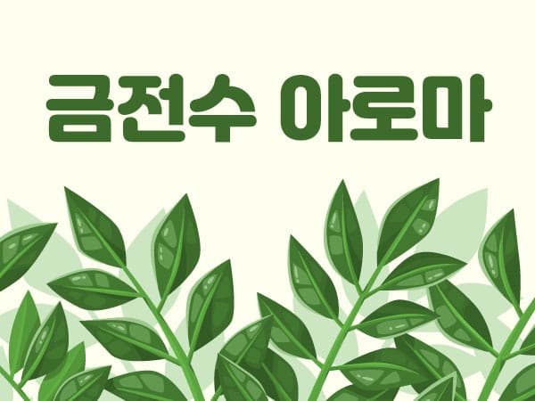 금전수 실사진 1