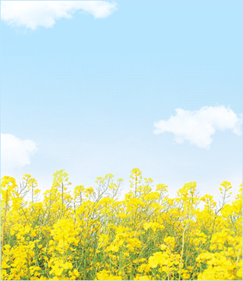 업소25239 실사진 1