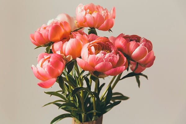 업소54182 실사진 1