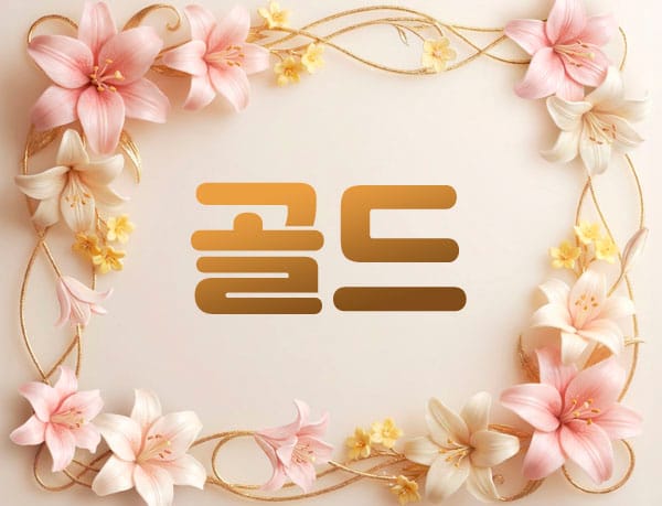 업소54291 실사진 1