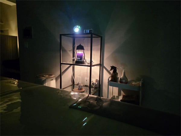 업소54503 실사진 2