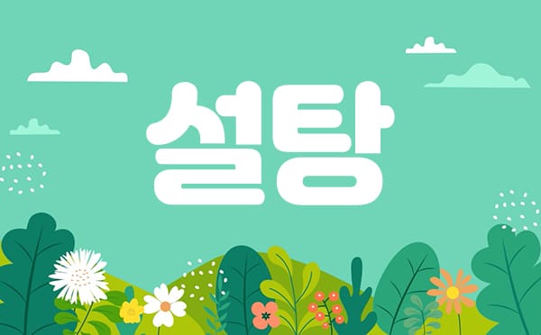 설탕 실사진 1