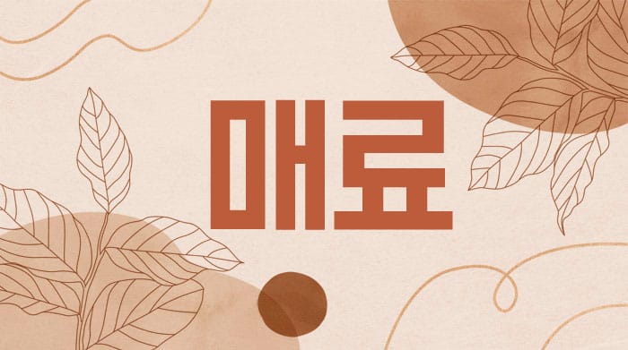 매료 실사진 1