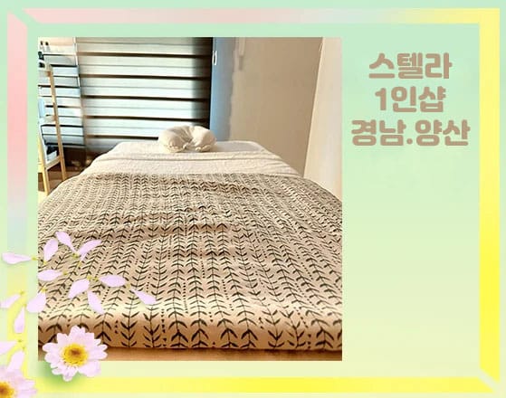 스텔라 실사진 1