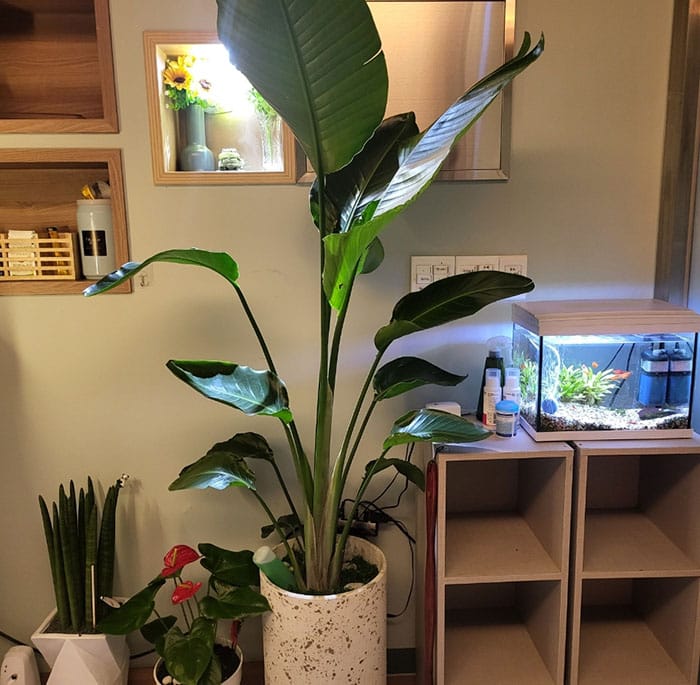 지첸 실사진 3