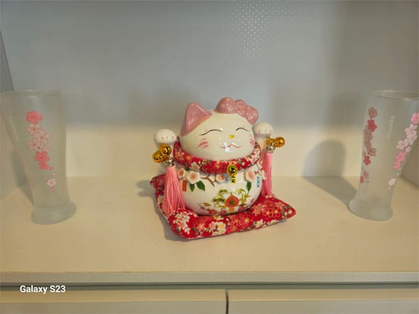 서우 실사진 4