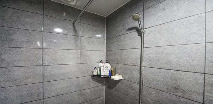 로얄 실사진 8