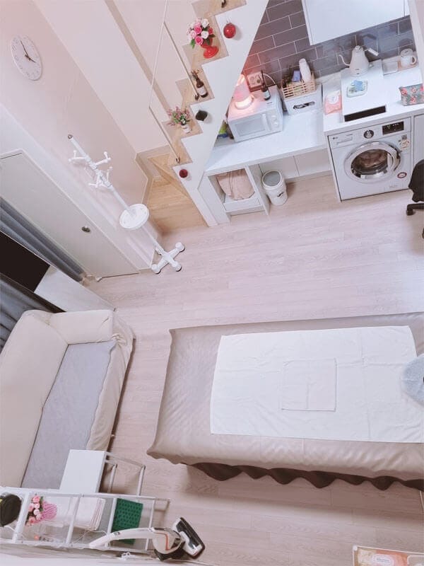 유러피안 실사진 1