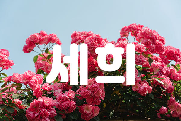 업소44501 실사진 1