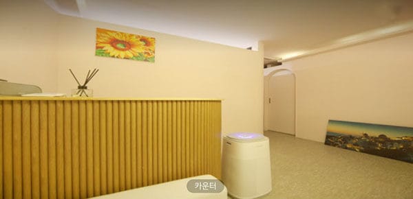 망고 실사진 1