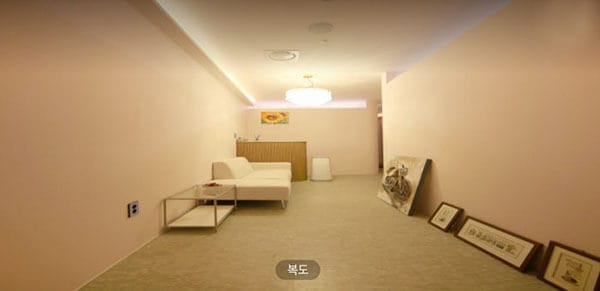 망고 실사진 2