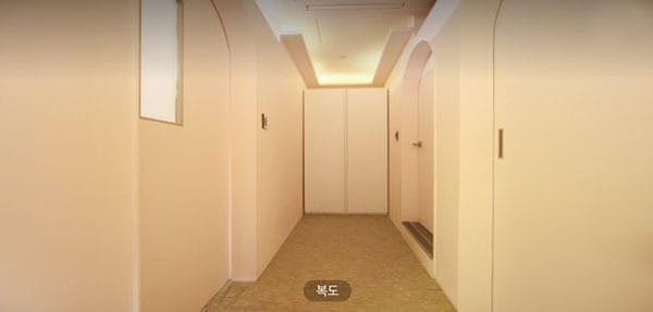 망고 실사진 3
