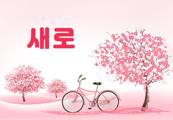 업소50955 실사진 1