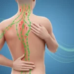 🧺 림프 정체 빼고 통증완화! 꿀팁 대방출🍯